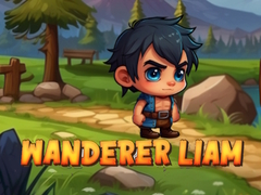 Jeu Errant Liam en ligne