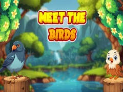 Jeu Rencontrez les Oiseaux en ligne