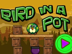 Jeu Oiseau dans un pot en ligne