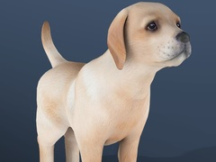 Jeu Animal de compagnie inactif en ligne