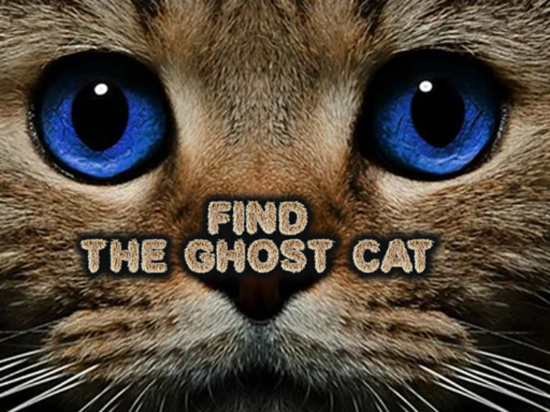 Jeu Trouvez le chat fantôme en ligne