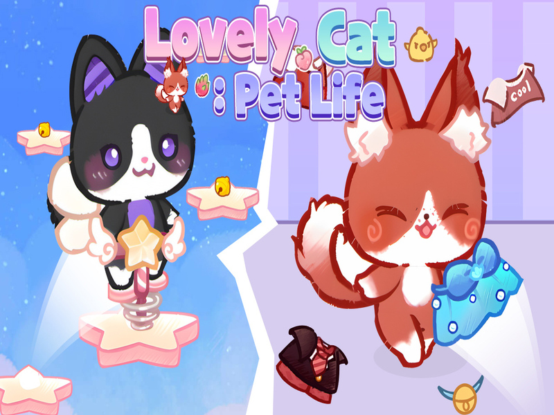 Jeu Belle vie animale de chat en ligne