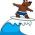 Surf Surf en ligne