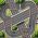 Courses sur circuit Courses sur circuit en ligne