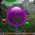 Bulles  en ligne