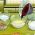 École de cuisine École de cuisine en ligne