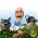 Magnifique jardin Magnifique jardin en ligne