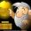 chercheur d'or  en ligne