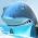 Requin Requin en ligne