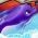 Dauphin Dauphin en ligne