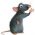 Ratatouille  en ligne